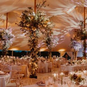 tentpicture4jpg