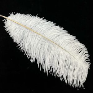 White Ostrich Feathers 16-18 inch