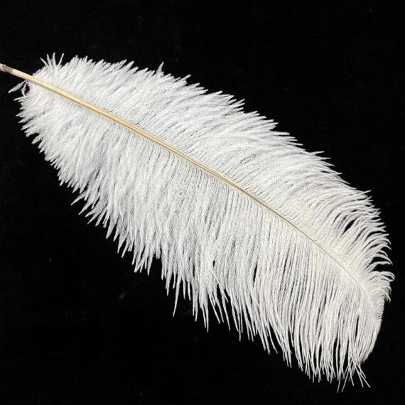White Ostrich Feathers 16-18 inch