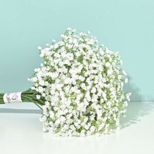 White Baby Breath Gypsophila Flower